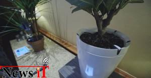 کنترل سلامت گیاهان با Pot و H2O از دور