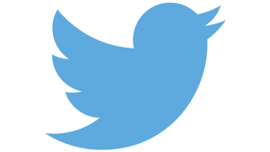 تعداد کاربران فعال ماهیانه‌ ی توییتر به ۳۱۶ میلیون نفر رسید