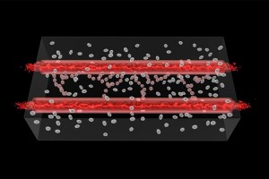 ساخت رگ‌های خونی زنده توسط پرینترهای سه بعدی