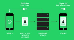 رمزنگاری کامل پیام‌ها، هدیه WhatsApp به کاربران