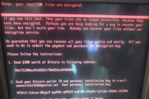 حمله ویروس پتیا به رایانه های جهان